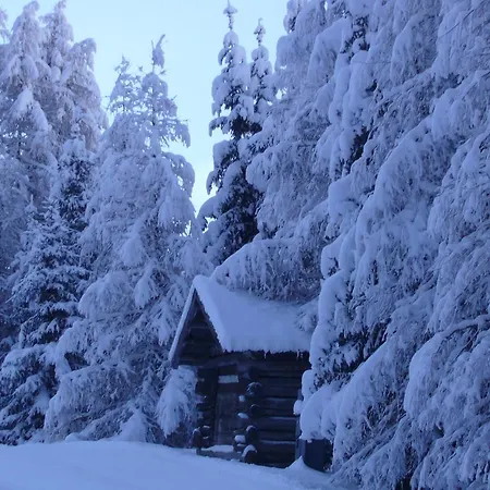 Διαμέρισμα Claudia *