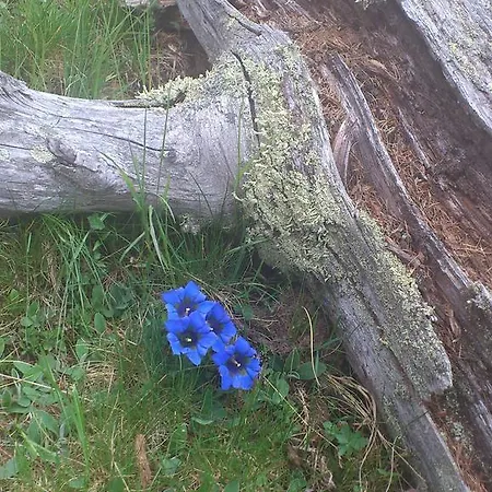 Διαμέρισμα Claudia